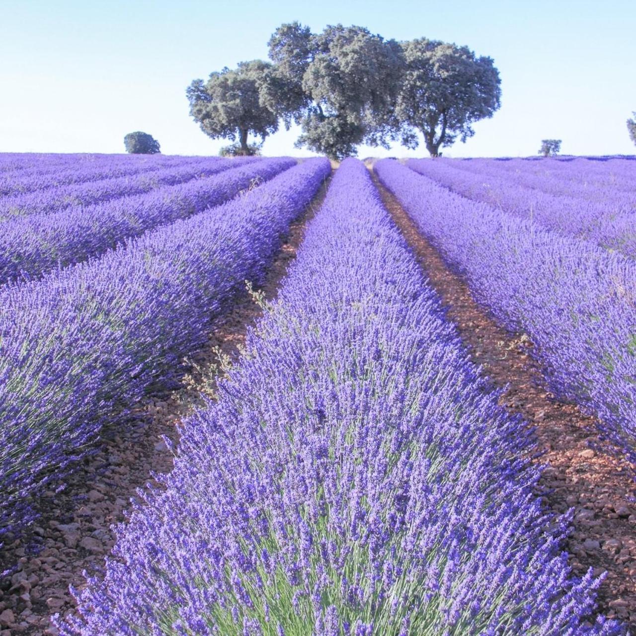 Le Cosy Valcros, Design Et Confort Aix-en-Provence Exterior foto